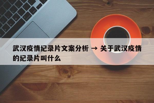 武汉疫情纪录片文案分析 → 关于武汉疫情的纪录片叫什么