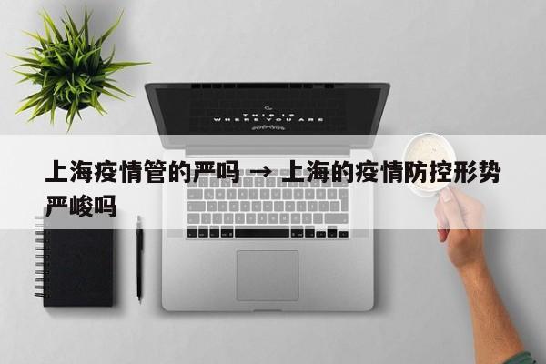 上海疫情管的严吗 → 上海的疫情防控形势严峻吗