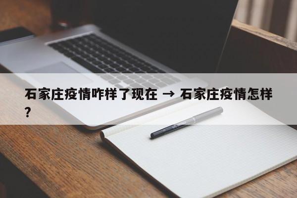 石家庄疫情咋样了现在 → 石家庄疫情怎样?
