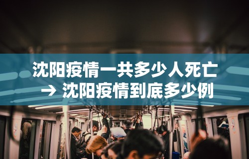 沈阳疫情一共多少人死亡 → 沈阳疫情到底多少例