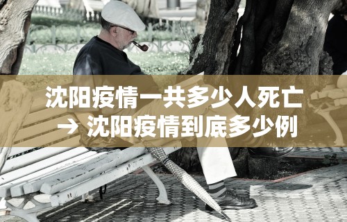 沈阳疫情一共多少人死亡 → 沈阳疫情到底多少例 沈阳疫情一共多少人死亡 → 沈阳疫情到底多少例