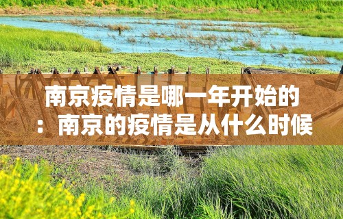 南京疫情是哪一年开始的：南京的疫情是从什么时候开始的