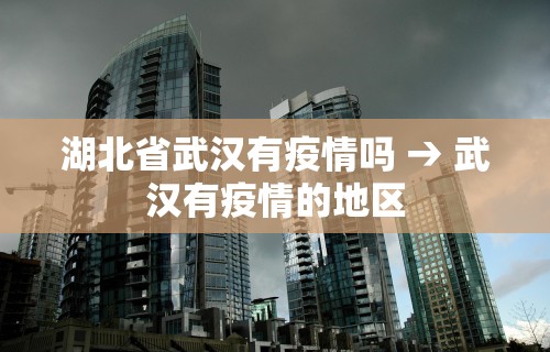 湖北省武汉有疫情吗 → 武汉有疫情的地区 湖北省武汉有疫情吗 → 武汉有疫情的地区