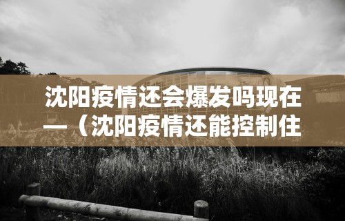 沈阳疫情还会爆发吗现在—(沈阳疫情还能控制住吗) 沈阳疫情还会爆发吗现在—(沈阳疫情还能控制住吗)
