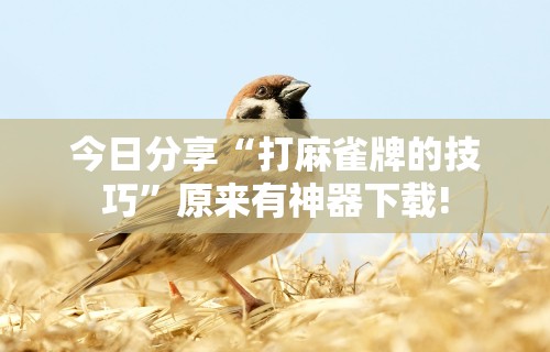 武汉这两天疫情严重吗›武汉这两天疫情严重吗现在
