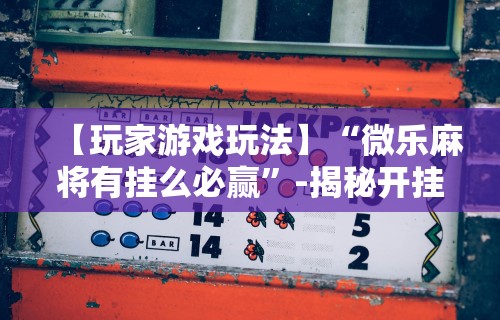 【玩家必看实操】“哈灵麻将开挂教程”详细外挂安装步骤