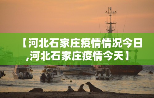 【沈阳疫情封闭区·沈阳疫情封闭小区分布图】