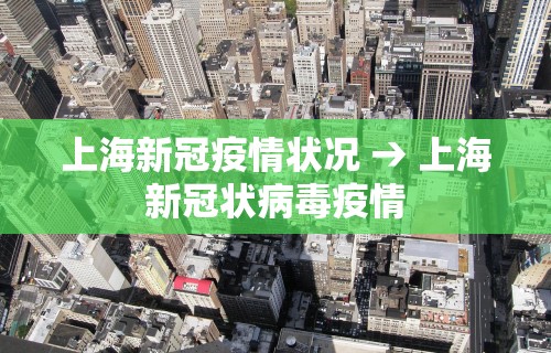 上海新冠疫情状况 → 上海新冠状病毒疫情
