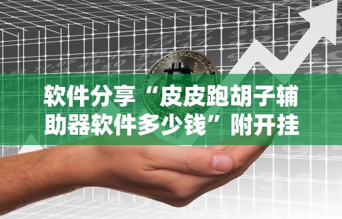 软件分享“皮皮跑胡子辅助器软件多少钱”附开挂脚本详细教程