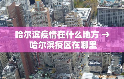 哈尔滨疫情在什么地方 → 哈尔滨疫区在哪里