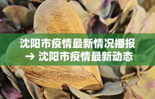 沈阳市疫情最新情况播报 → 沈阳市疫情最新动态