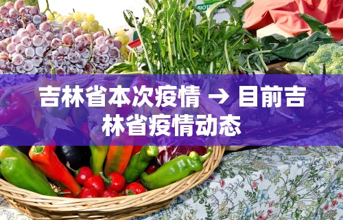 吉林省本次疫情 → 目前吉林省疫情动态