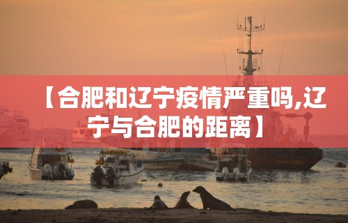 【合肥和辽宁疫情严重吗,辽宁与合肥的距离】