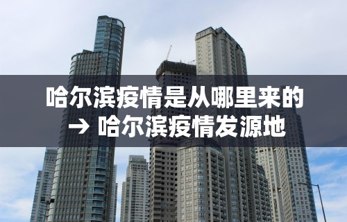 哈尔滨疫情是从哪里来的 → 哈尔滨疫情发源地