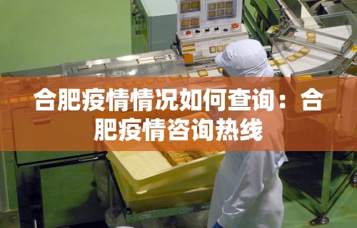 合肥疫情情况如何查询：合肥疫情咨询热线