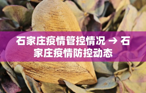 广东疫情政策咨询电话›广东省疫情电话12345