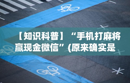 【知识科普】“手机打麻将赢现金微信”(原来确实是有插件) 