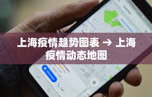 上海疫情趋势图表 → 上海疫情动态地图