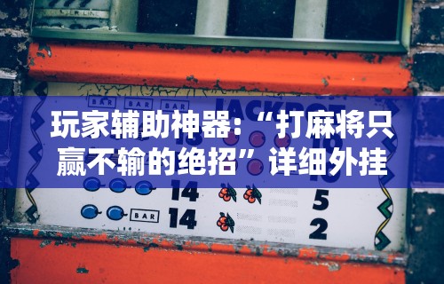 玩家辅助神器:“打麻将只赢不输的绝招”详细外挂辅助详细教程