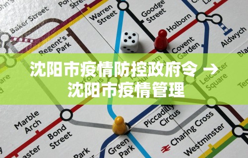 沈阳市疫情防控政府令 → 沈阳市疫情管理