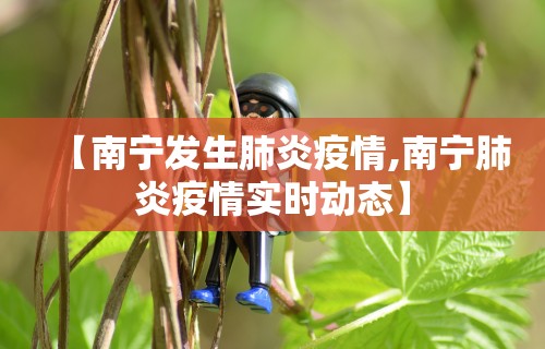 【南宁发生肺炎疫情,南宁肺炎疫情实时动态】