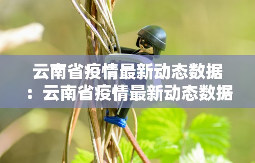云南省疫情最新动态数据:云南省疫情最新动态数据图 云南省疫情最新动态数据:云南省疫情最新动态数据图