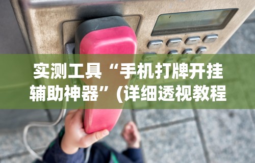 实测工具“手机打牌开挂辅助神器”(详细透视教程)-