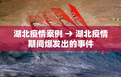 湖北疫情案例 → 湖北疫情期间爆发出的事件 湖北疫情案例 → 湖北疫情期间爆发出的事件