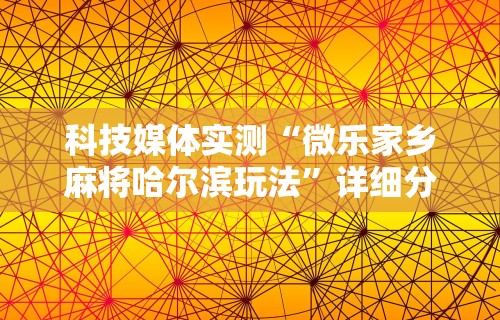 科技媒体实测“微乐家乡麻将哈尔滨玩法”详细分享装挂步骤