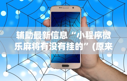 辅助最新信息“小程序微乐麻将有没有挂的”(原来确实是有挂) 