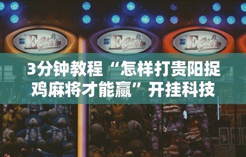 3分钟教程“怎样打贵阳捉鸡麻将才能赢”开挂科技辅助神器手机