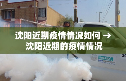 沈阳近期疫情情况如何 → 沈阳近期的疫情情况