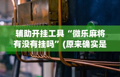 辅助开挂工具“微乐麻将有没有挂吗”(原来确实是有挂) 