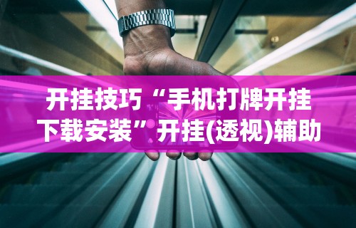 开挂技巧“手机打牌开挂下载安装”开挂(透视)辅助神器
