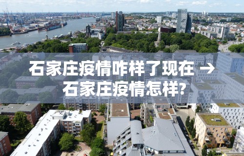 石家庄疫情咋样了现在 → 石家庄疫情怎样?