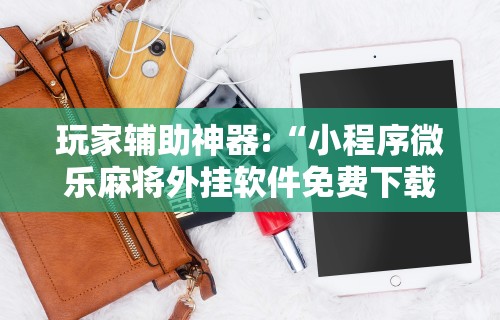 玩家辅助神器:“小程序微乐麻将外挂软件免费下载	”详细分享装挂步骤教程