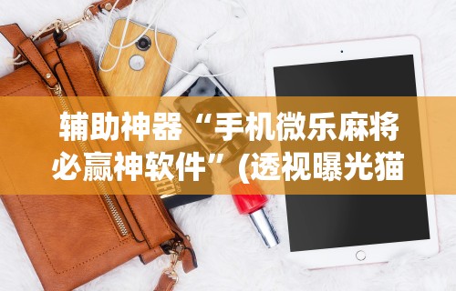辅助神器“手机微乐麻将必赢神软件”(透视曝光猫腻)