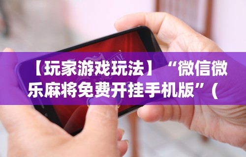 【玩家游戏玩法】“微信微乐麻将免费开挂手机版”(原来确实是有挂) 