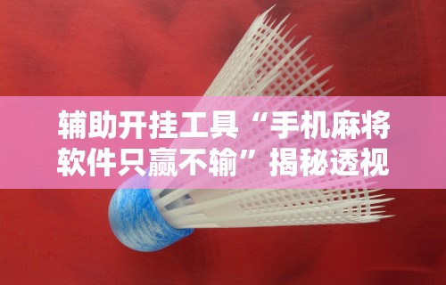 辅助开挂工具“手机麻将软件只赢不输	”揭秘透视辅助万能挂用法
