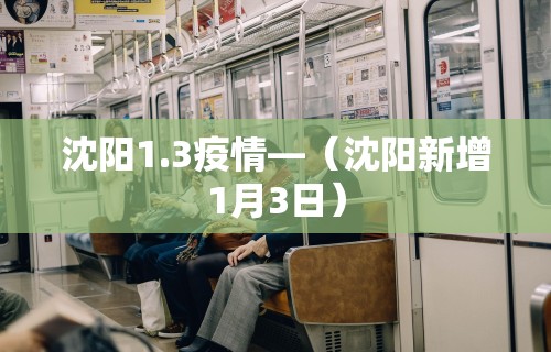 沈阳1.3疫情—（沈阳新增1月3日）
