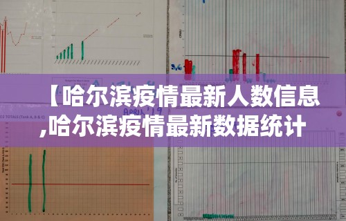 【哈尔滨疫情最新人数信息,哈尔滨疫情最新数据统计】