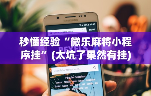 秒懂经验“微乐麻将小程序挂”(太坑了果然有挂)