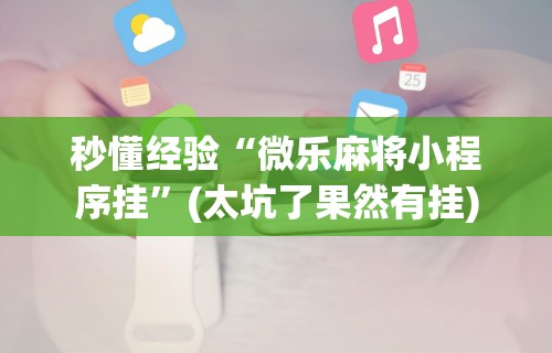 秒懂经验“微乐麻将小程序挂”(太坑了果然有挂)