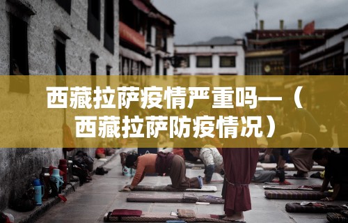 西藏拉萨疫情严重吗—（西藏拉萨防疫情况）