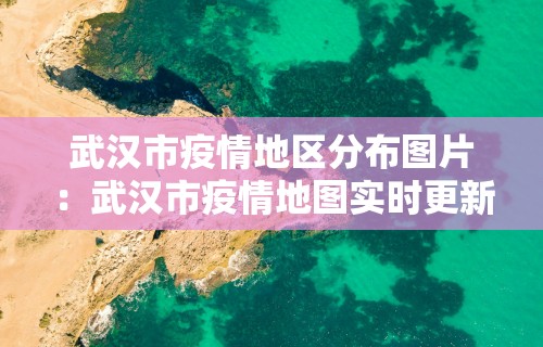 武汉市疫情地区分布图片：武汉市疫情地图实时更新