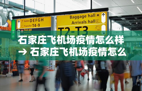 石家庄飞机场疫情怎么样 → 石家庄飞机场疫情怎么样最新消息