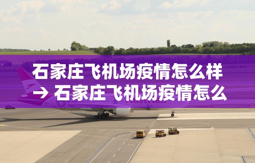 石家庄飞机场疫情怎么样 → 石家庄飞机场疫情怎么样最新消息