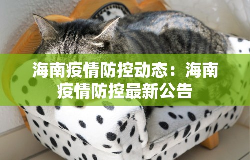 海南疫情防控动态：海南疫情防控最新公告