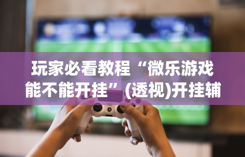 玩家必看教程“微乐游戏能不能开挂	”(透视)开挂辅助脚本+详细开挂安装教程