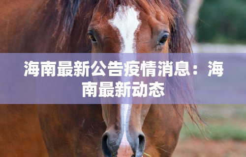 海南最新公告疫情消息：海南最新动态